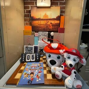 Paw 🐾 patrol bundle